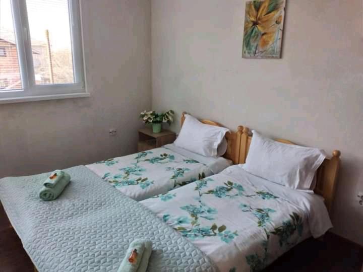 Holiday Guest House Kemo Szapareva Banja Kültér fotó